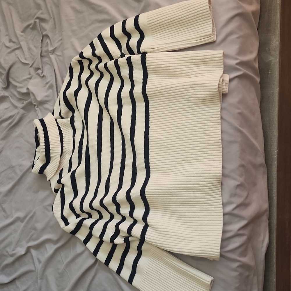 Gap Navy striped Turtle neck Sweater